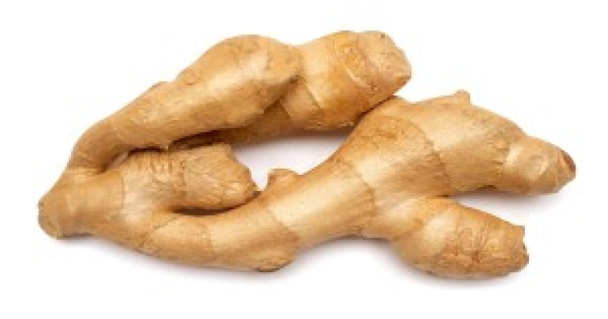Green Ginger market rate today in Gujarat and Haryana
